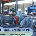 BFPT Protection and Supervisory System
