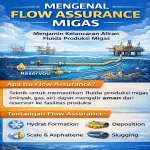 Pipeline Flow Assurance