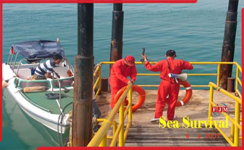 Sea Survival Training - Total Indonesie (Pertamina Hulu Mahakam)